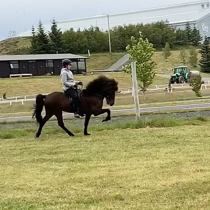 Þóranna Brynja