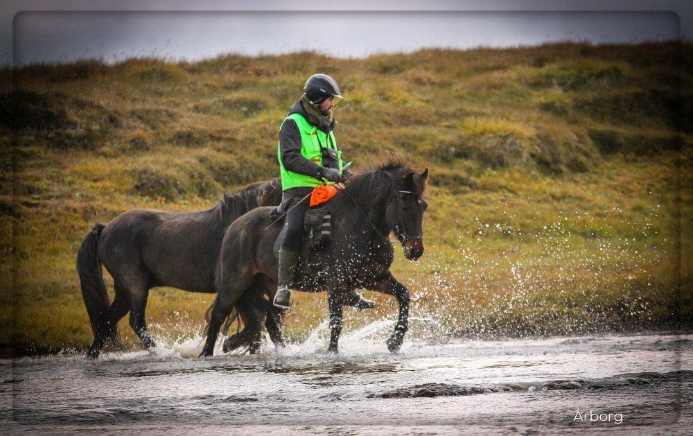 Friðrik Már til starfa hjá RML | Eidfaxi.is