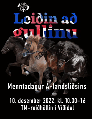 Leiðin að gullinu - Landslið Íslands