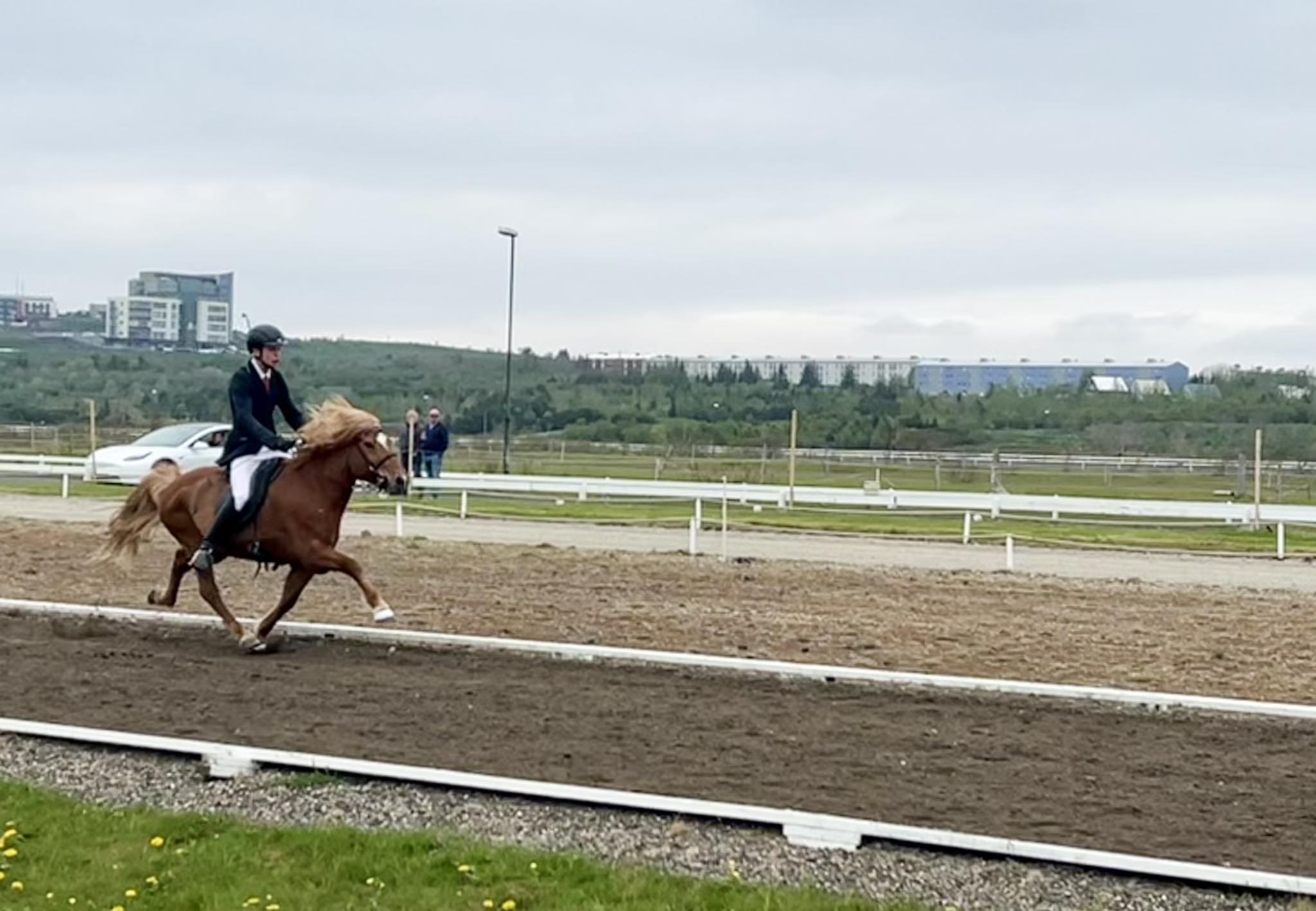 Matthías og Tign Reykjavíkurmeistarar | Eidfaxi.is
